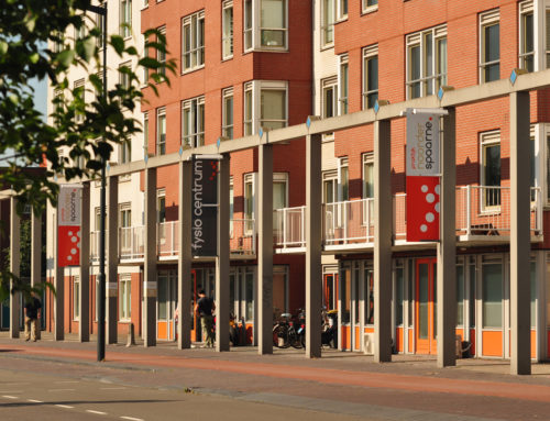 Physical therapy in Haarlem